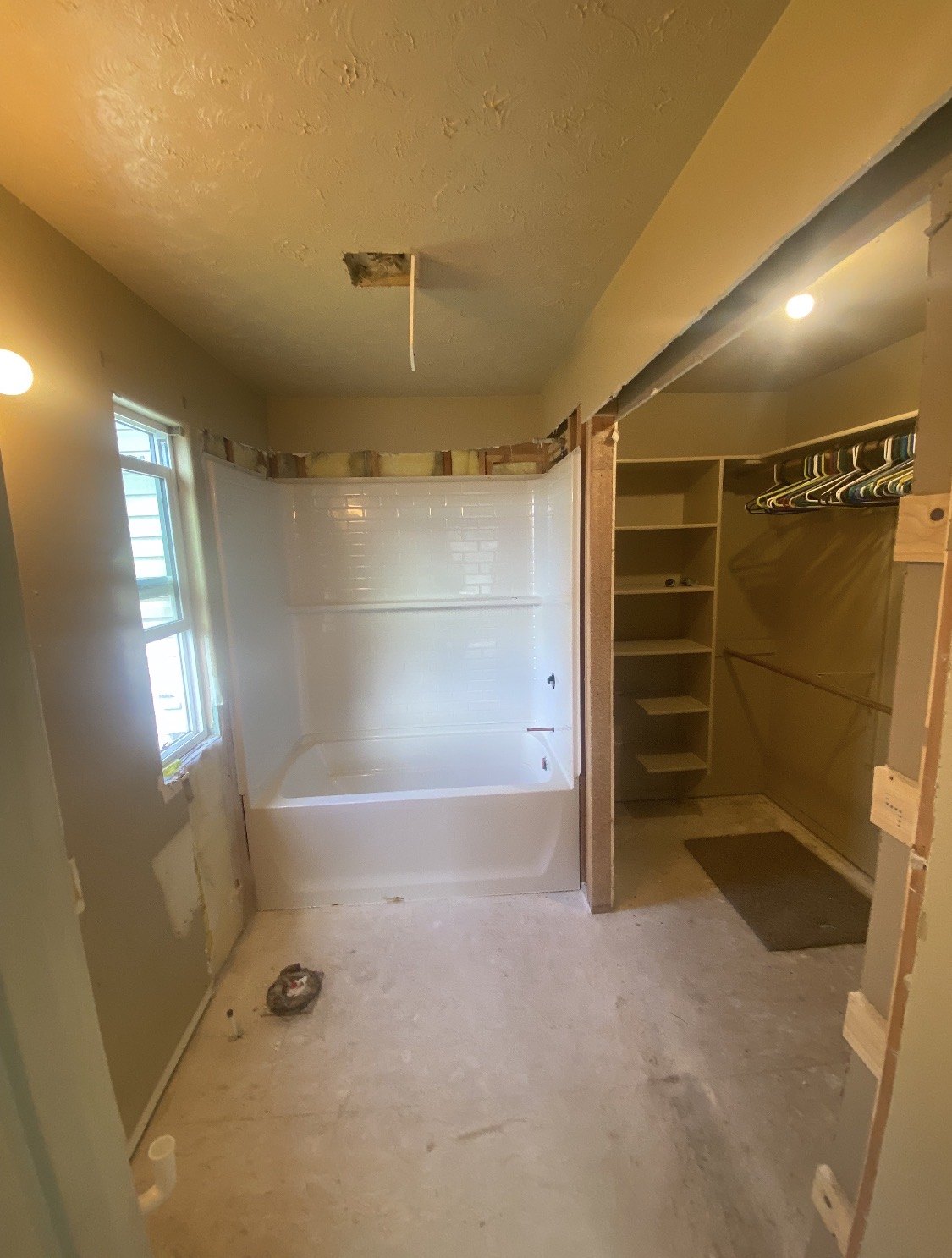 Bathroom and closet space during renovation